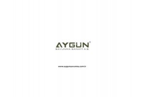 Aygunsavunma